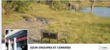 Actualité AGC VOYAGES, AGENCE DE VOYAGES, Nice Borriglione